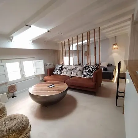 Apartment Charming Loft In The Heart Of El Carmen Valencia