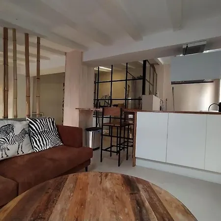 Apartment Charming Loft In The Heart Of El Carmen Valencia